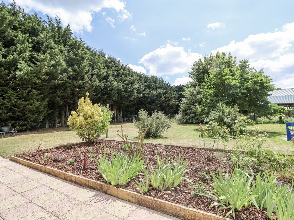 A garden with plants and trees at Annexe in Colchester