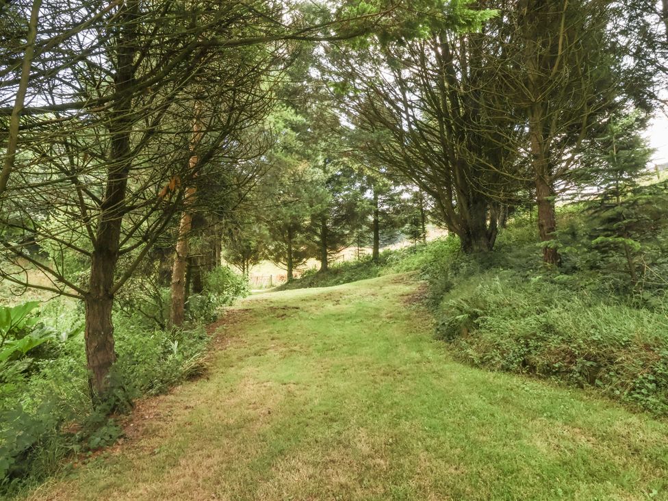 A path surrounded by trees at Lane End in North Molton
