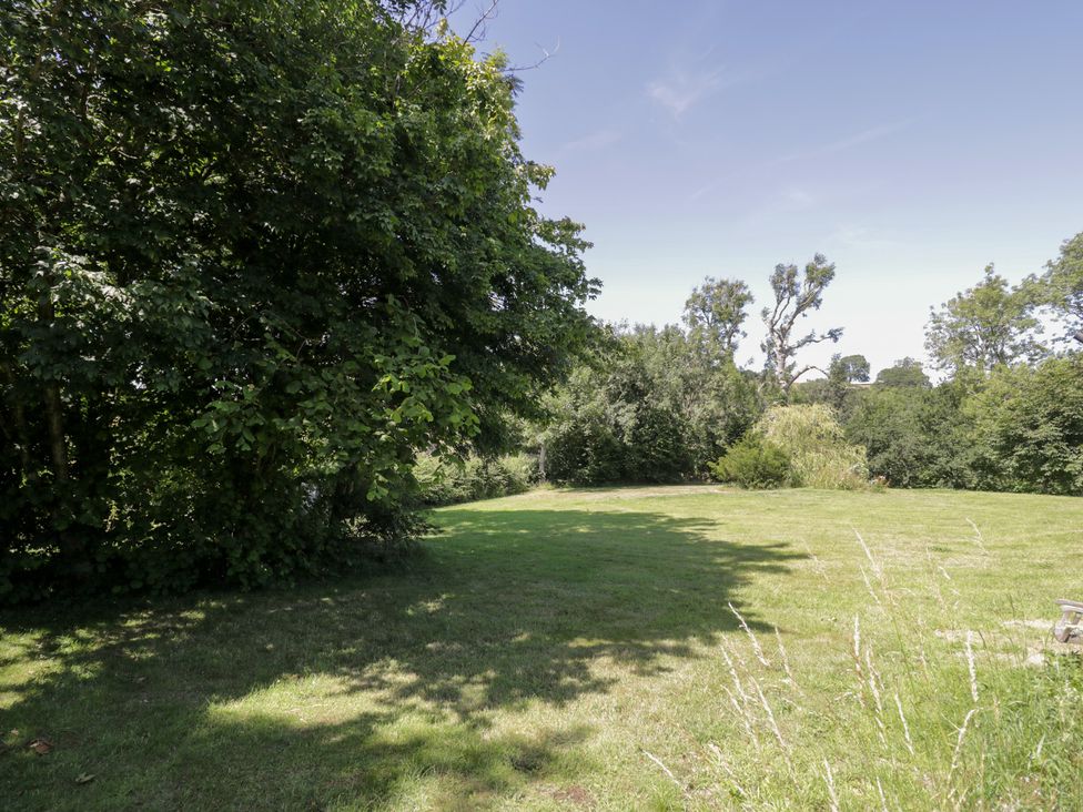 A garden area with grass and trees at Owl Cottage Llangollen
