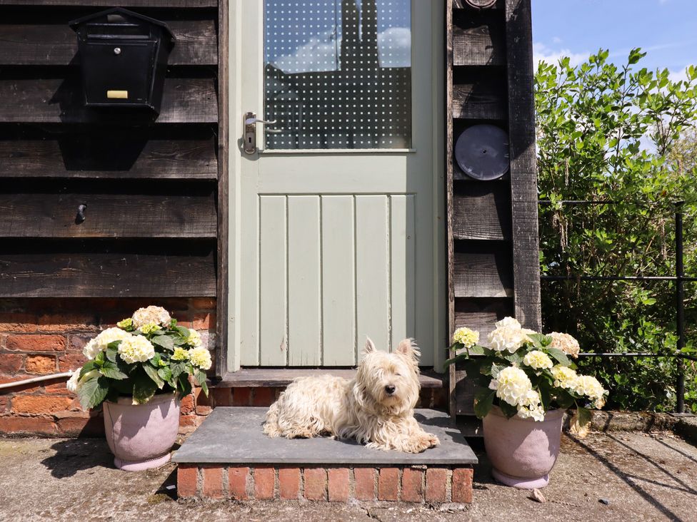 A dog sitting on steps in front of a door at Upper Pandy Farm in Berriew near Welshpool