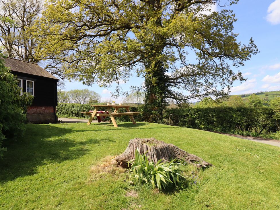 A garden with a picnic table and tree at Upper Pandy Farm in Berriew near Welshpool