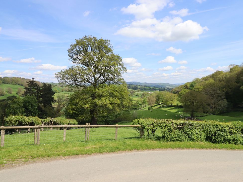 A view of fields and trees at Upper Pandy Farm in Berriew near Welshpool