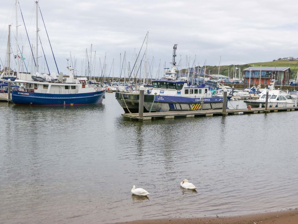 A marina with boats and swans at Duncan Square in Whitehaven