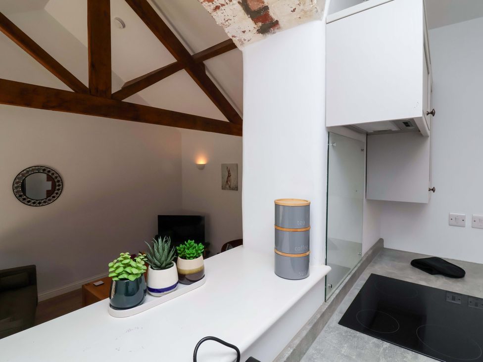 A kitchen with plants and kitchen utensils at Hedgehog Highway Parkham