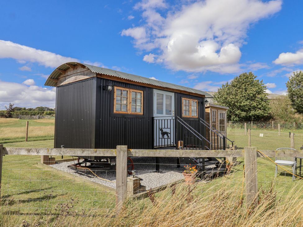 A black cabin with steps and windows in a grassy area at Wolds Hoot in Market Weighton
