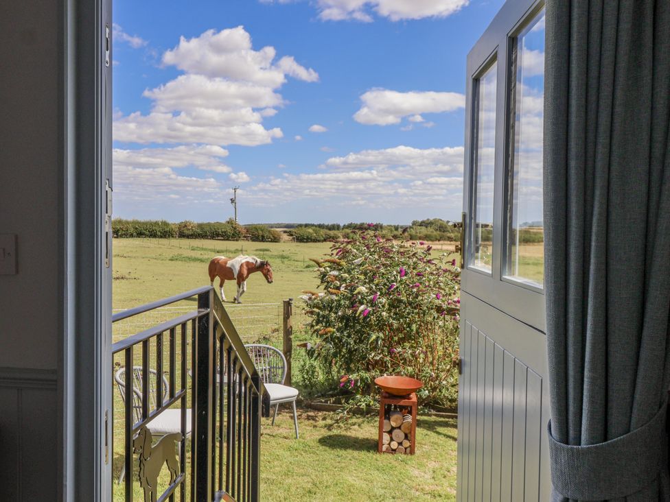 An outdoor view with a horse in a garden at Wolds Hoot in Market Weighton