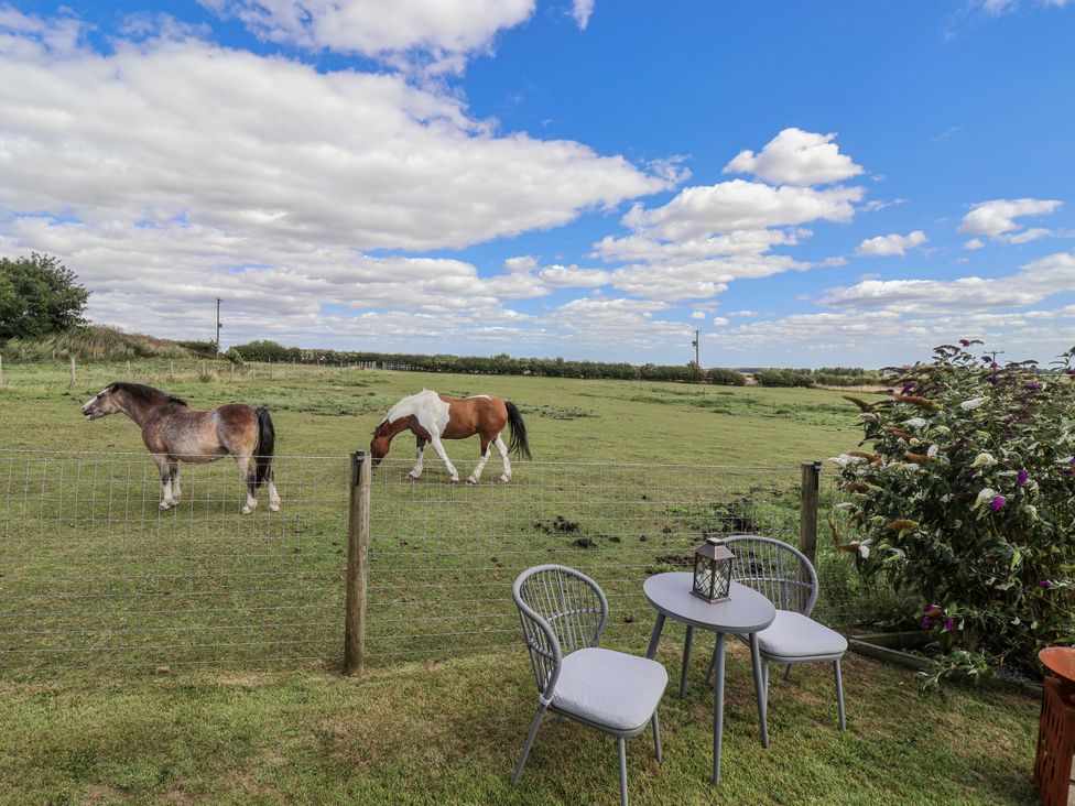 A garden with horses grazing and outdoor furniture at Wolds Hoot in Market Weighton