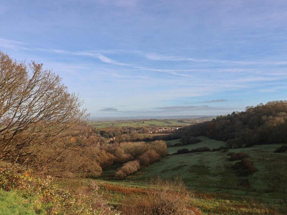 A view of a landscape with trees and fields at 46 North Street Stoke-Sub-Hamdon, Somerset