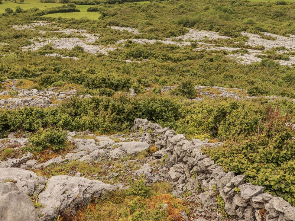 A rocky landscape with vegetation and stone walls at Kate's Cottage