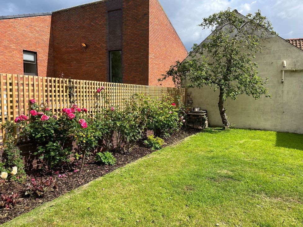 A garden with rose bushes and a tree at Secret Garden in Berwick-Upon-Tweed