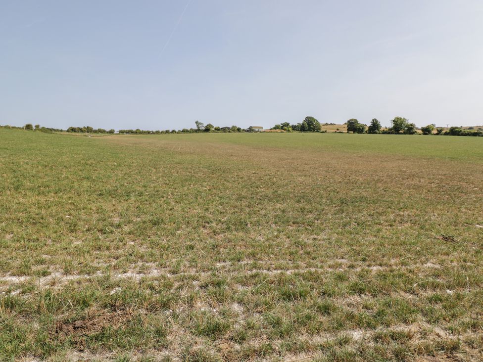A wide grass field with trees in the background at The Buckland in Pentridge near Sixpenny Handley