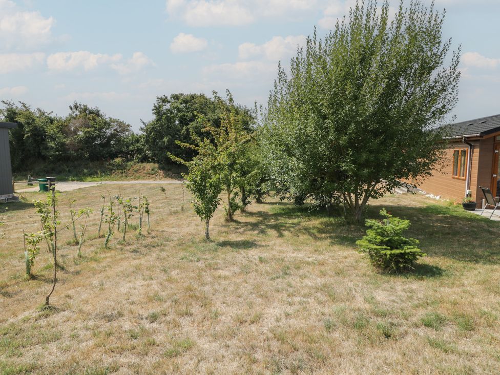A garden with trees and a vineyard at Whitey Top Country Lodge in Pentridge near Sixpenny Handley