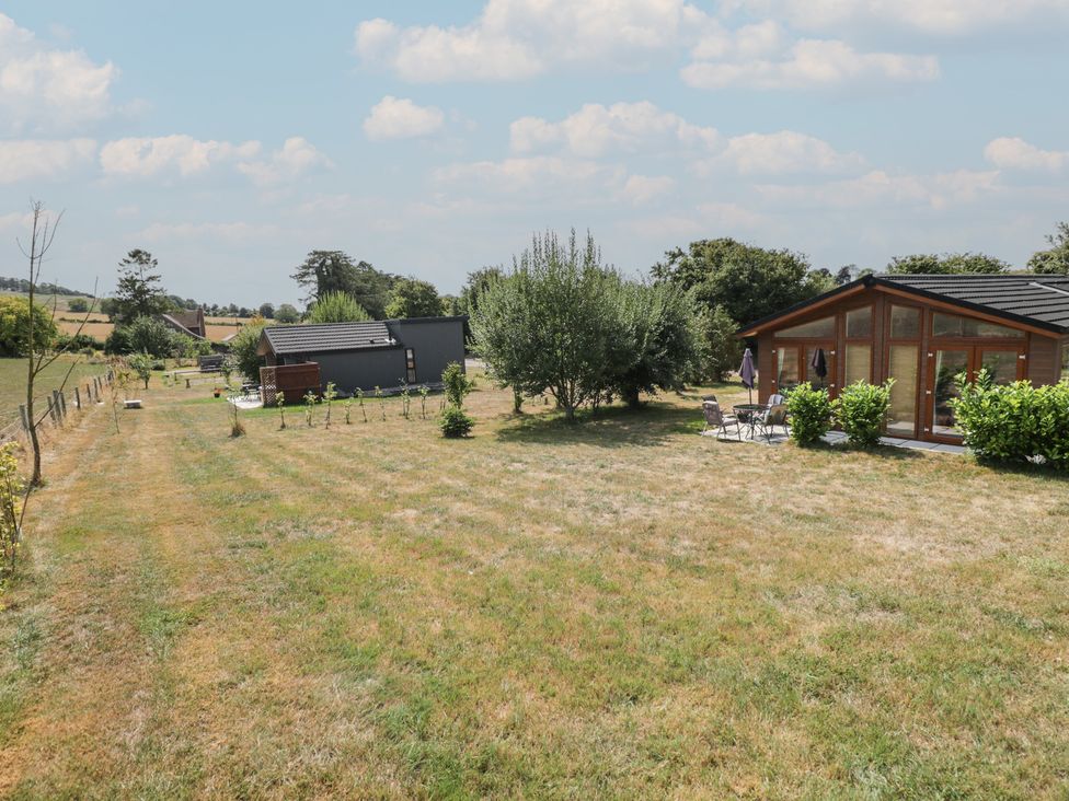 A garden with grass and trees at Whitey Top Country Lodge in Pentridge near Sixpenny Handley