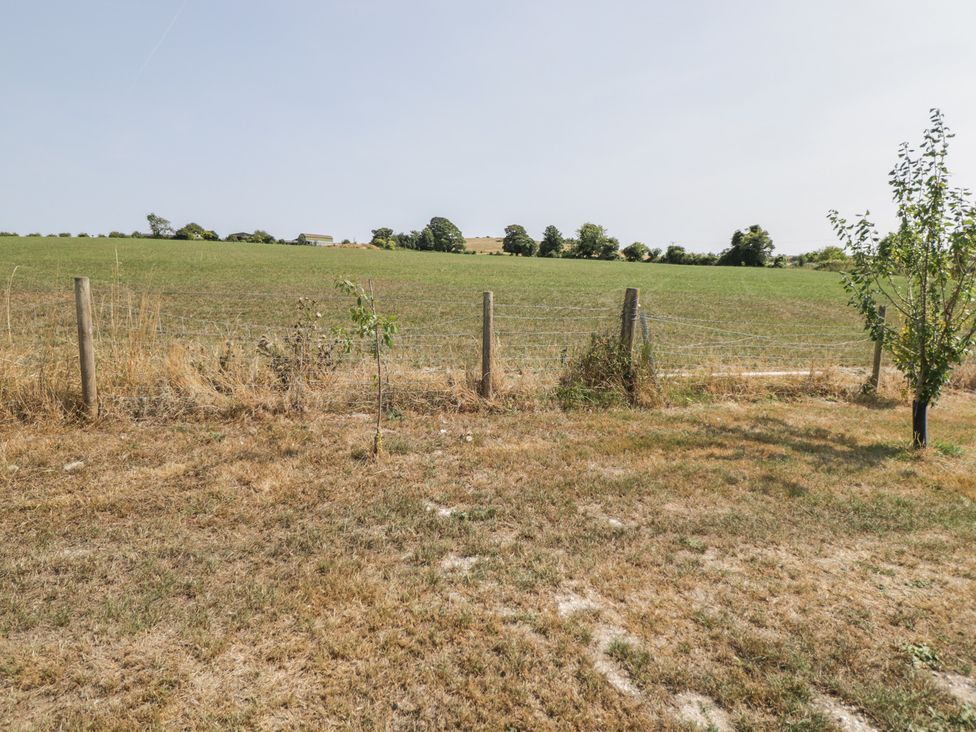 A field with a fence and trees at Whitey Top Country Lodge, Pentridge near Sixpenny Handley