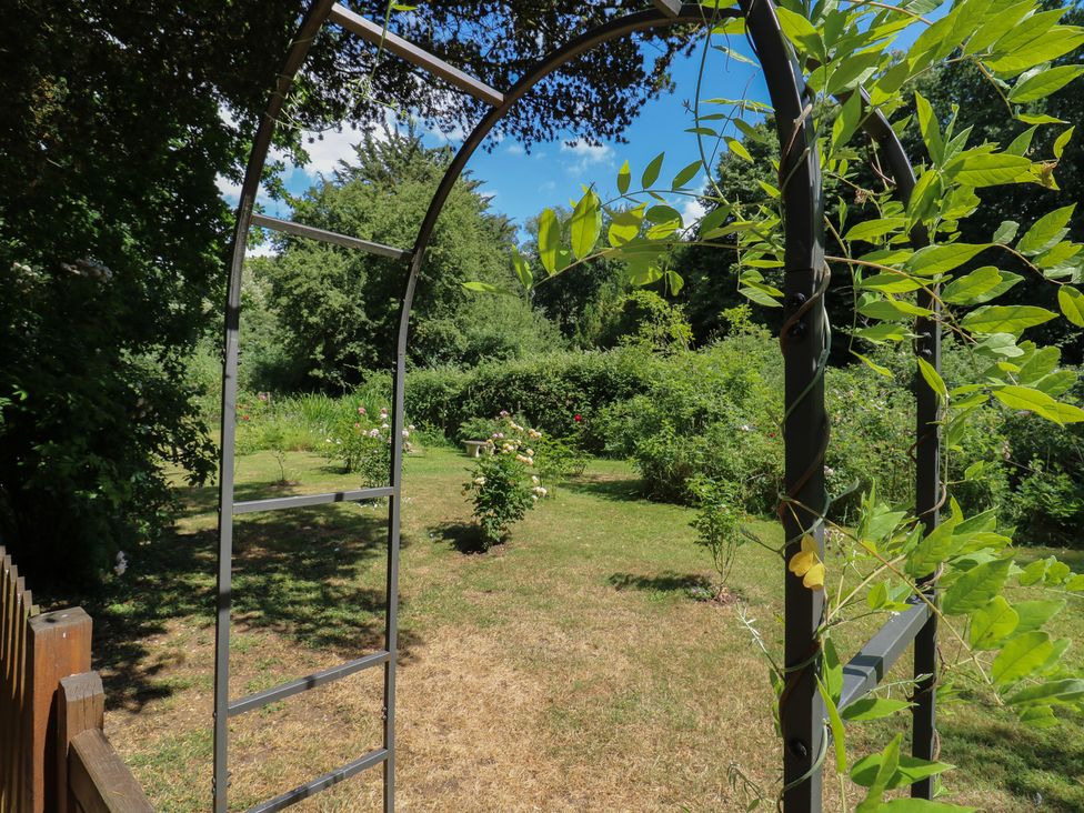 A garden with an archway and rose bushes at Curry Farm