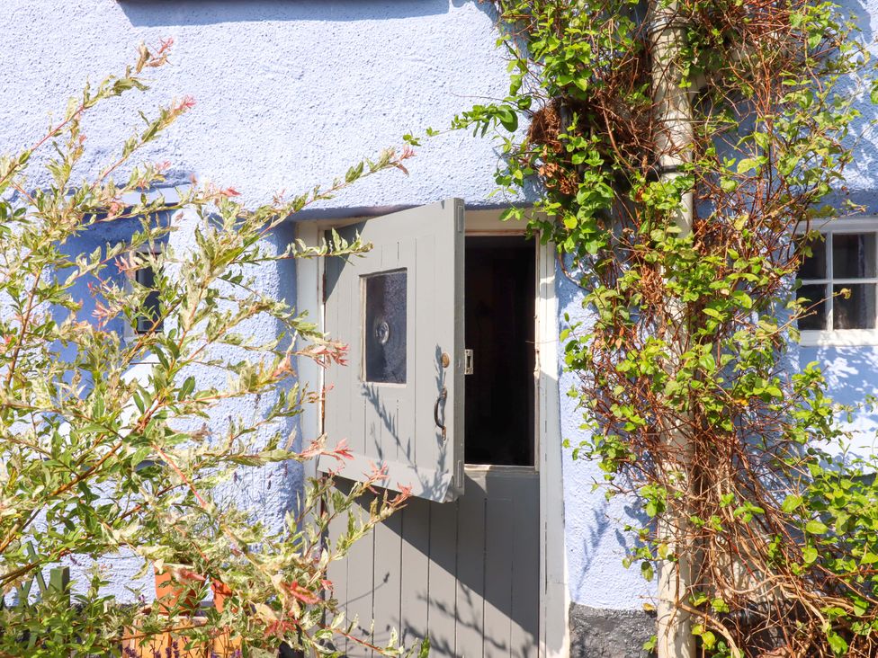 An entrance door among plants at Carpenters Cottage in Okehampton