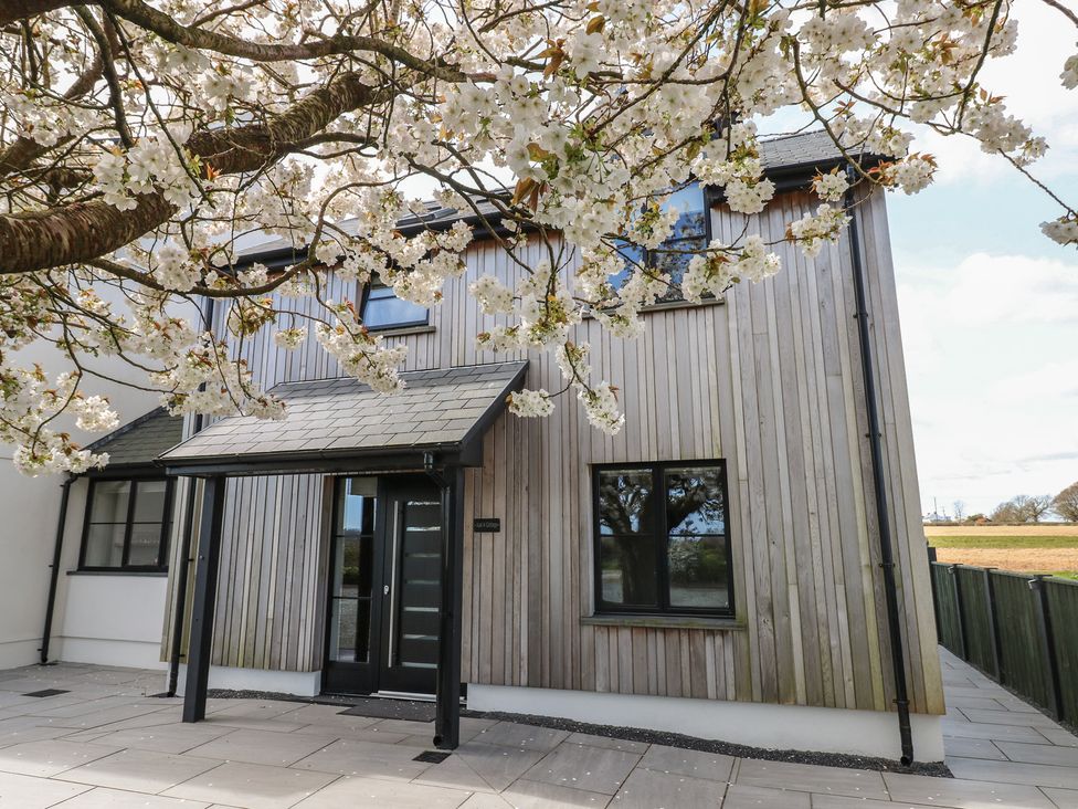 A house with a wooden exterior and a flowering tree at Just A Cottage in St Florence