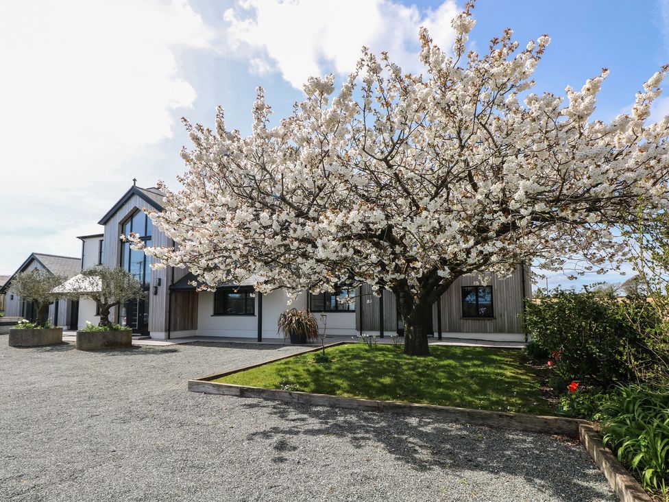 A house with a flowering tree in the garden at Just A Cottage in St Florence