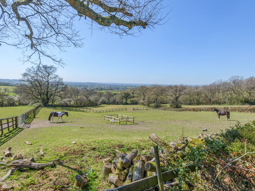 A field with horses and fencing at Underhill House in 