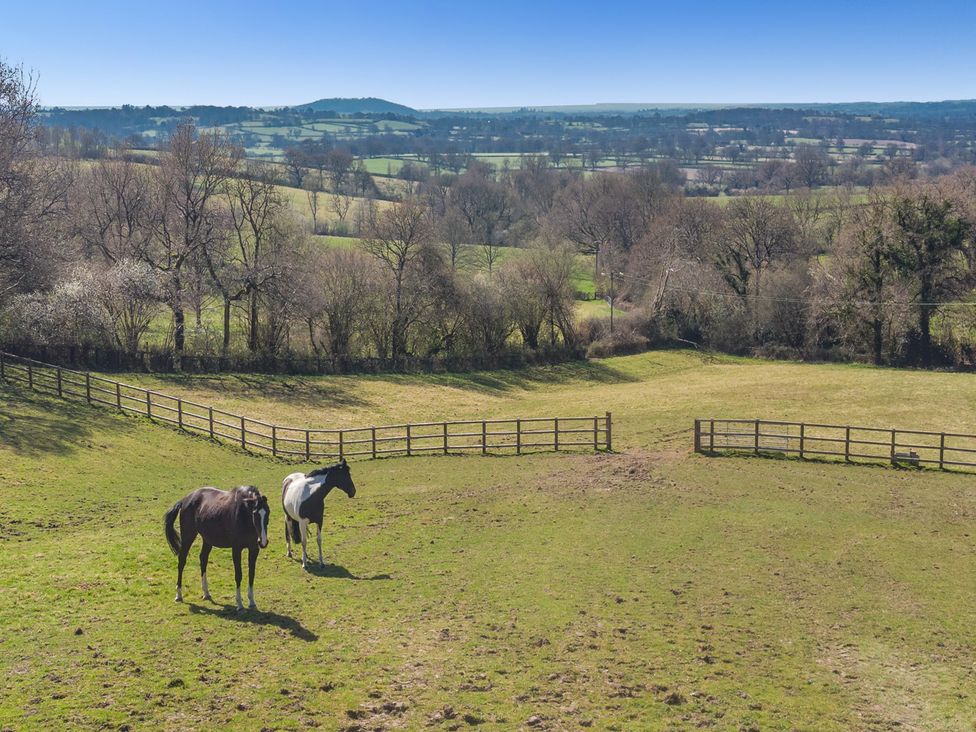 Two horses in a pasture with a fence and trees in the distance at Underhill House