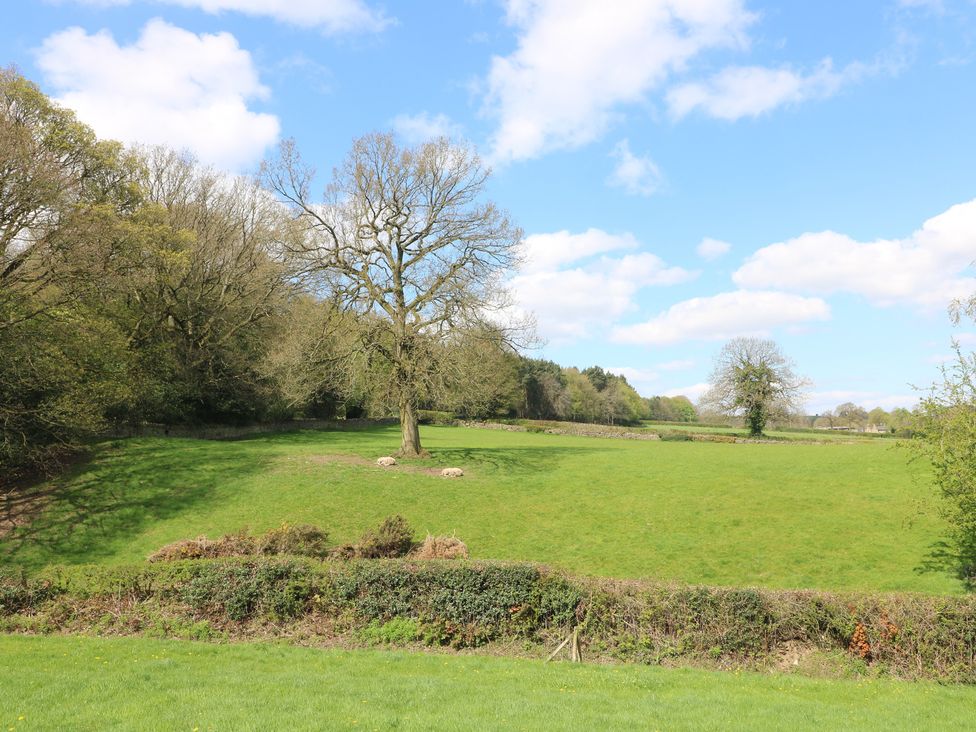 A grassy field with trees and blue sky at Carr House Farm in Chesterfield