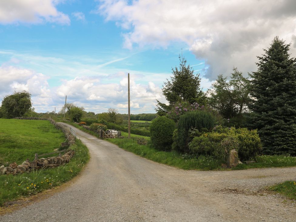 A road with trees and grass at Carr House Farm in Waberthwaite