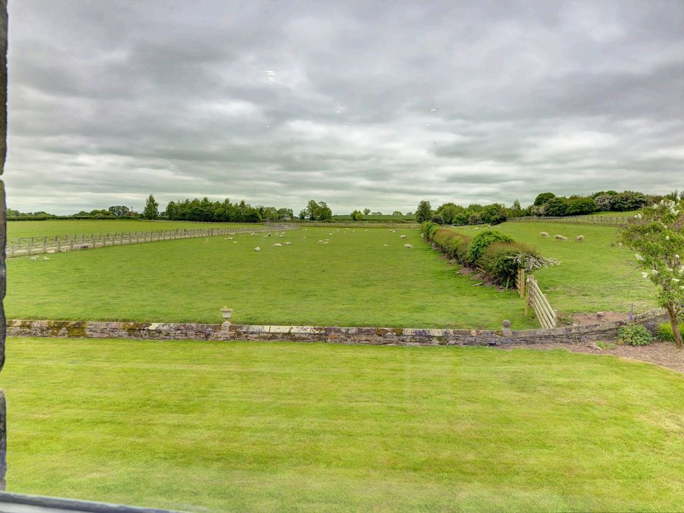 A view of a field with sheep and a fence at The Farm House in Aldbrough St. John near Barton