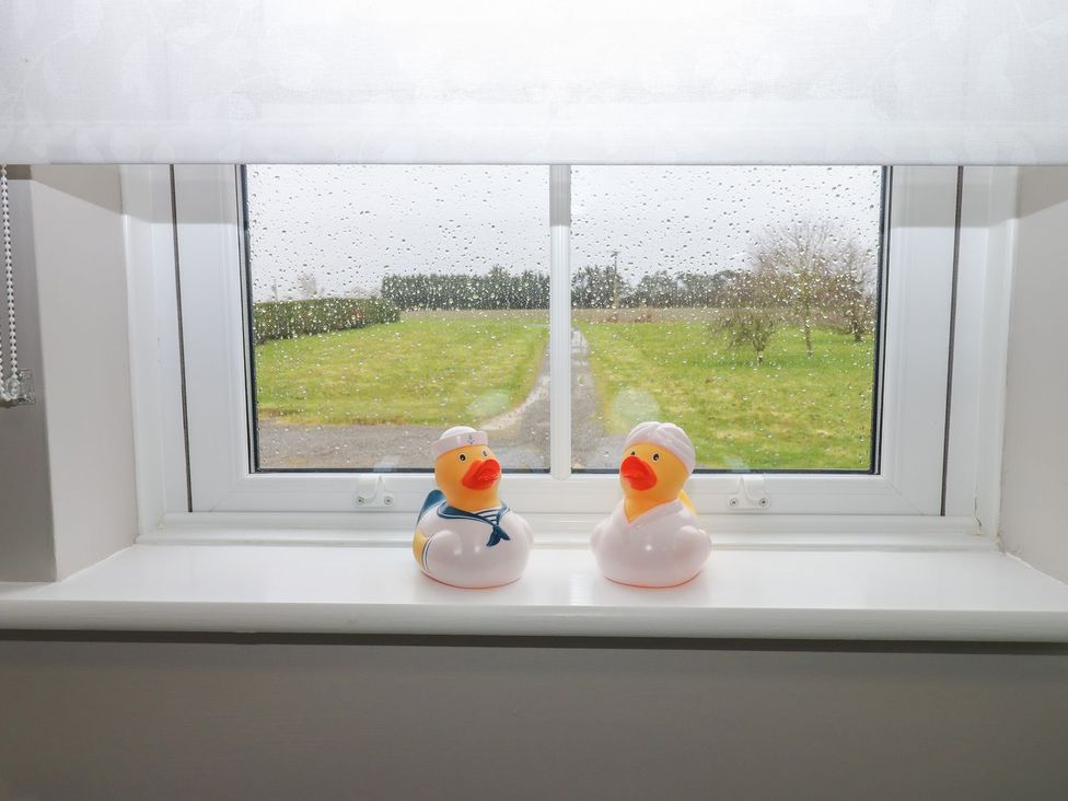 A window with two rubber ducks on the sill at Hollymoor Hall Farm in Richmond