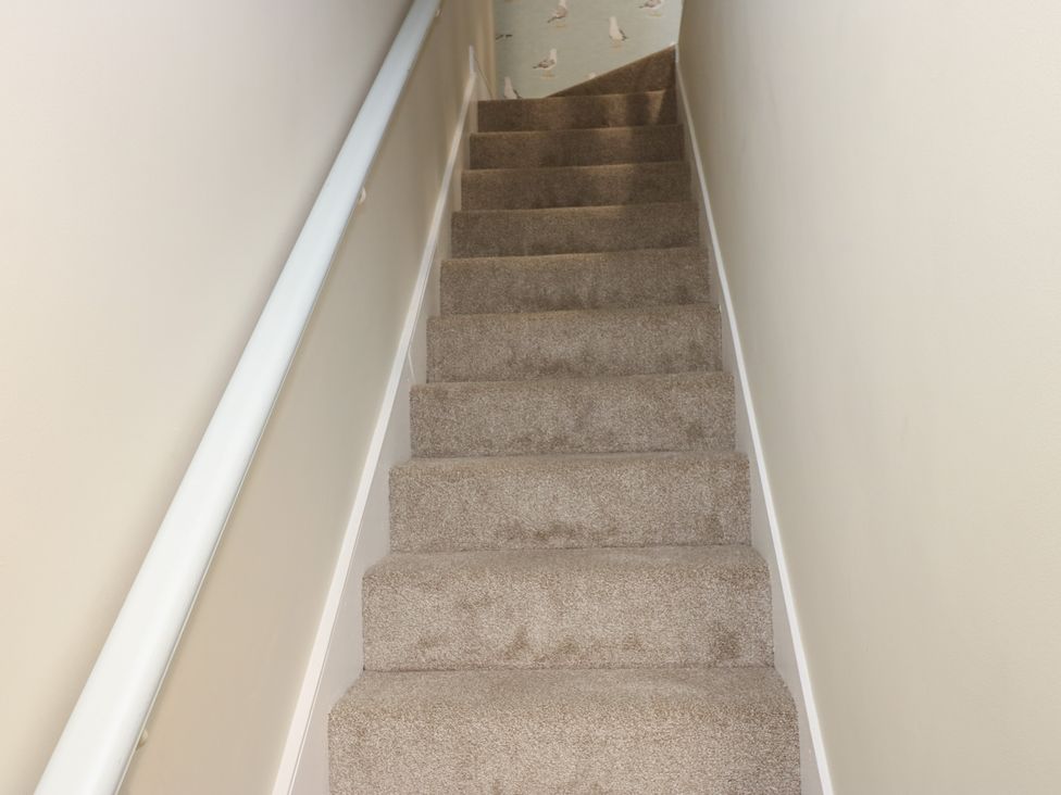 A staircase with carpet and handrail at 11 North Terrace Seaham