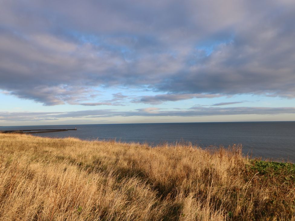 A view of grassland and the sea under a cloudy sky at 11 North Terrace Seaham