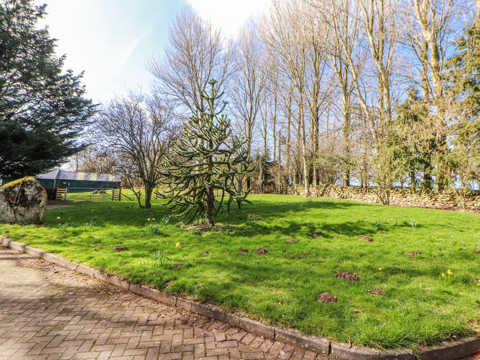 A garden with various trees and grass at Old Riggs Paddock in Penrith