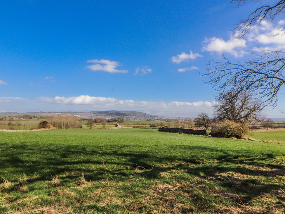 A green field with trees and blue sky at Old Riggs Paddock Penrith