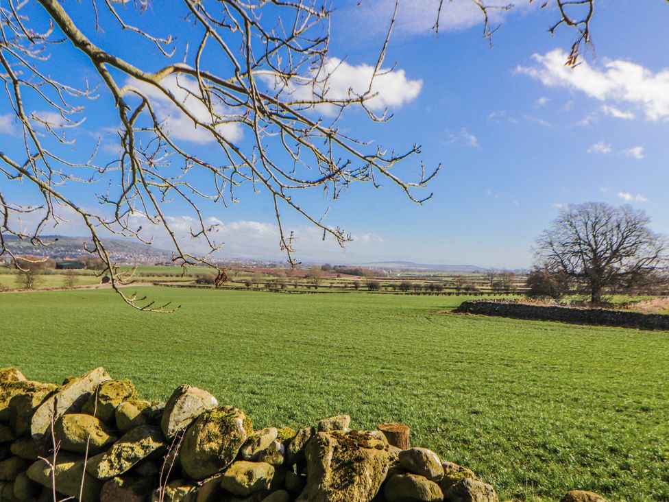 A view of a green field with trees and a stone wall at Old Riggs Paddock in Penrith