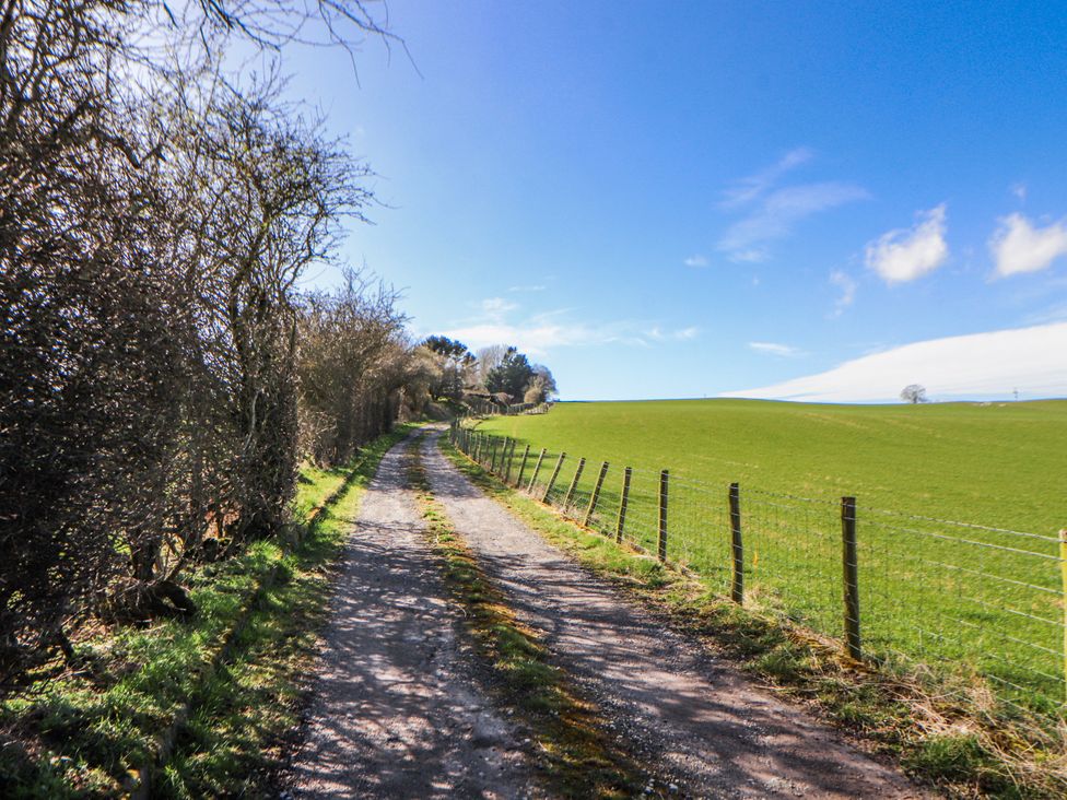 A path alongside a fence with grass fields at Old Riggs Paddock in Penrith