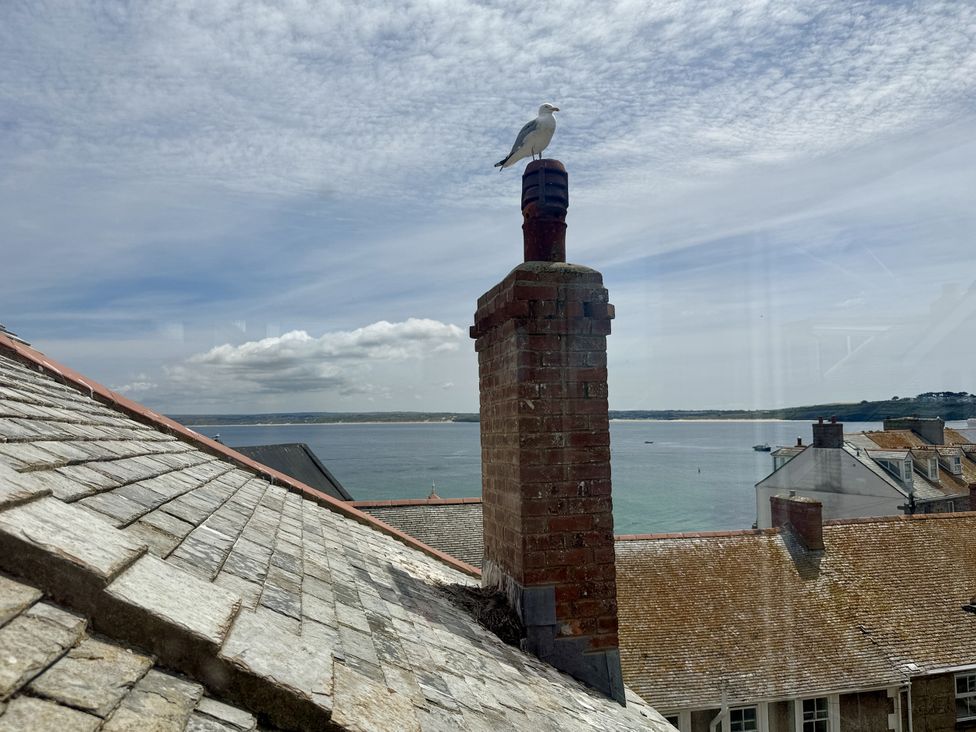 A view of a chimney and a seagull with the ocean in the background at Crows Nest in St Ives