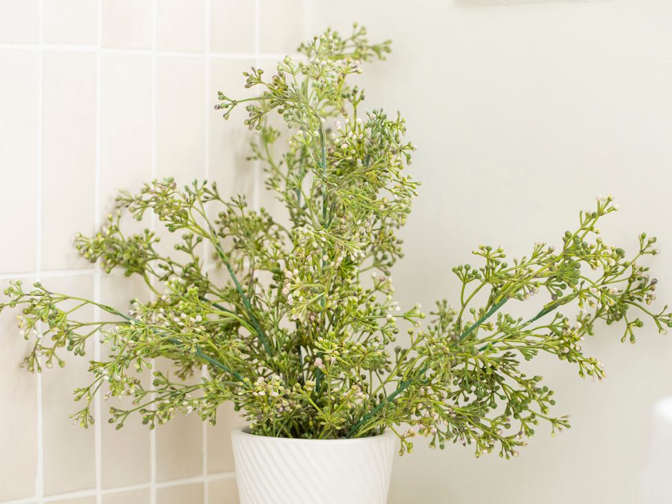 An artificial plant in a white pot at Apartment 2, 86 Dyer Street Cirencester