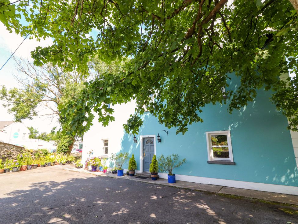 A house with a blue wall and plants in pots at Ash House in Ballyvaughan