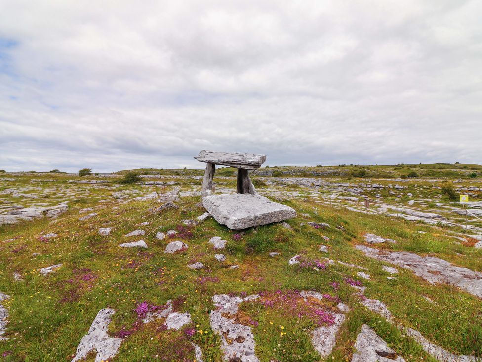 A stone table in a grassy area with flowers at Ash House in Ballyvaughan