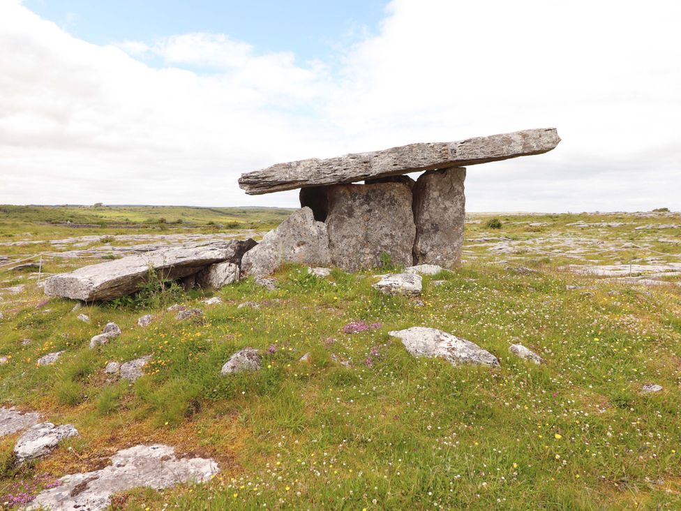 A dolmen surrounded by grass and wildflowers at Ash House in Ballyvaughan