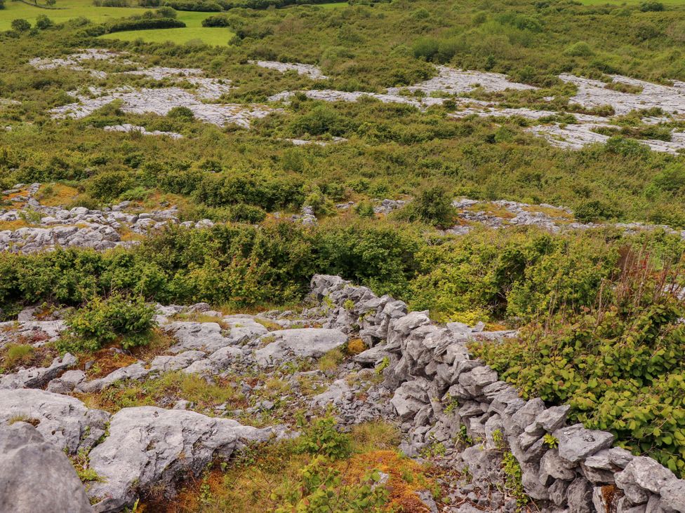A rocky landscape with vegetation at Ash House in Ballyvaughan