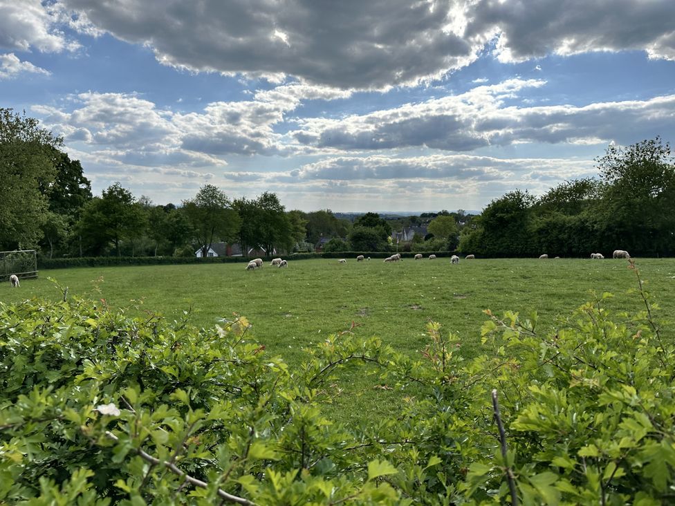 A field with sheep grazing at The Old Vicarage in 