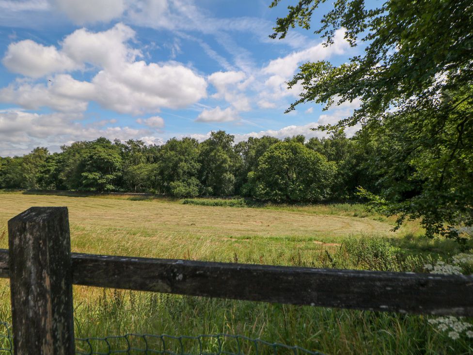 A field with trees and a fence at Hollow Brook Cottage in Hope Valley
