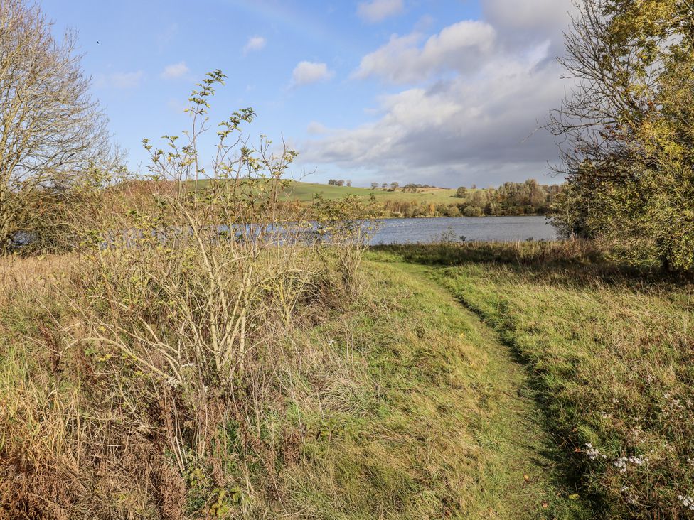 A path leading to water surrounded by bushes and trees at Honeymug in Branton near Powburn