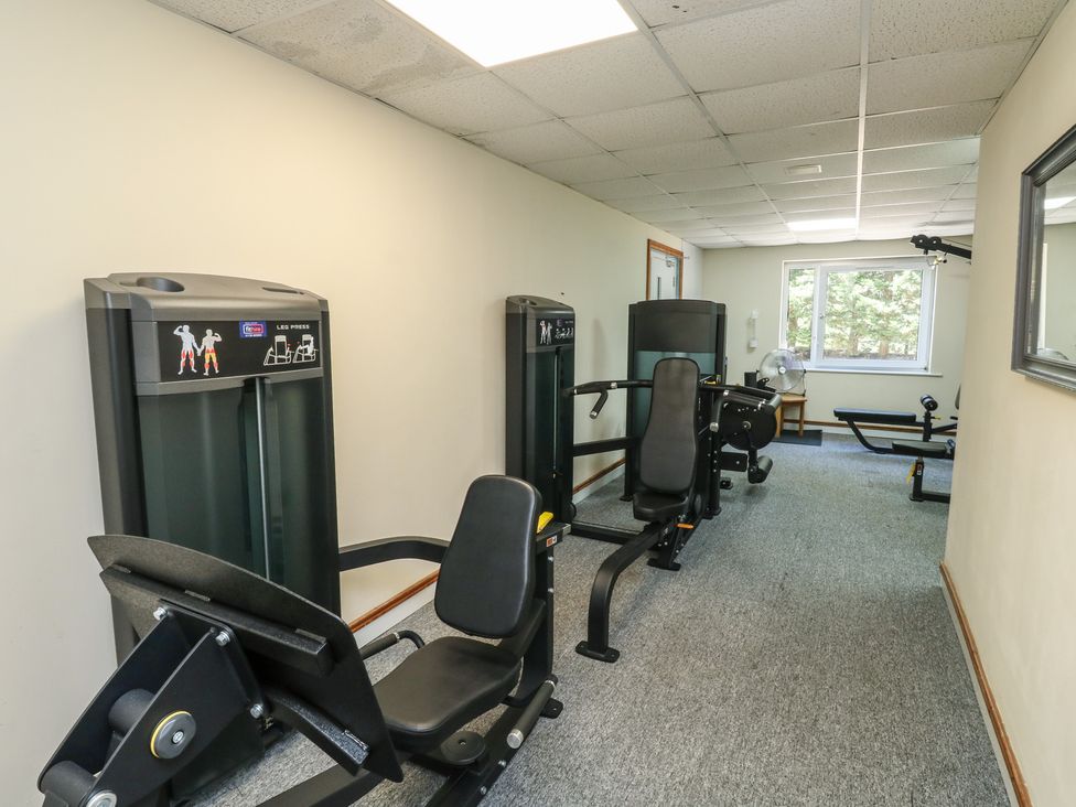 A gym with exercise machines and a window at Swift in Newton Abbot