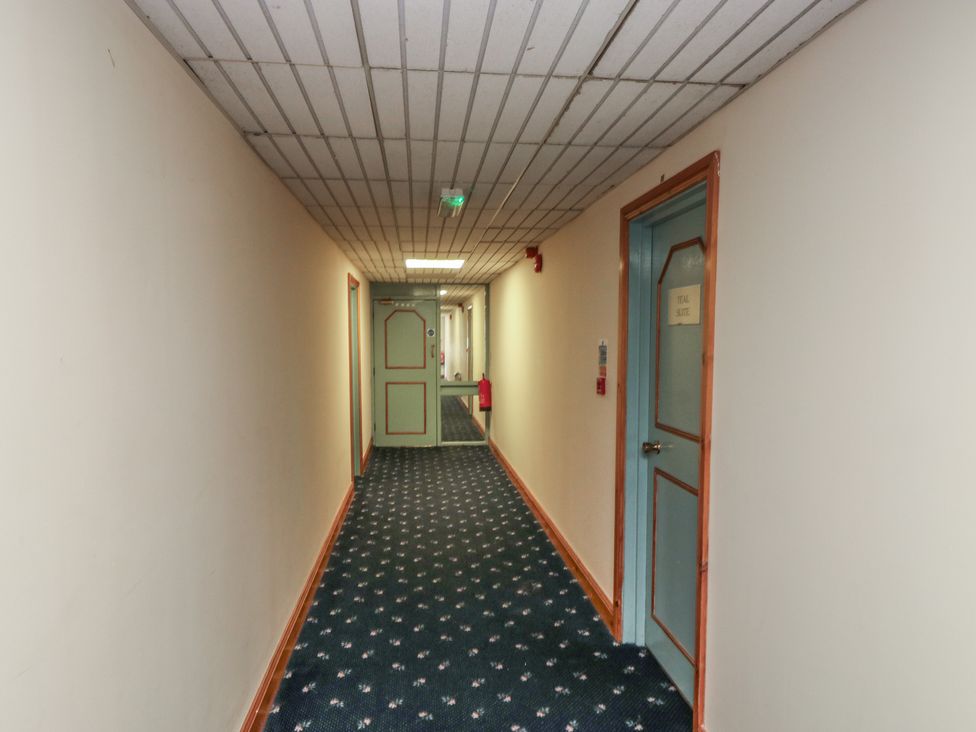 A hallway with carpet and doors at Avocet in Newton Abbot
