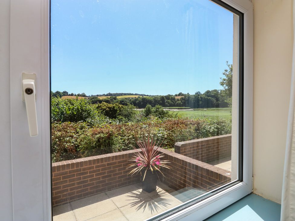 A view from a window showing a potted plant and landscape at Avocet in Newton Abbot