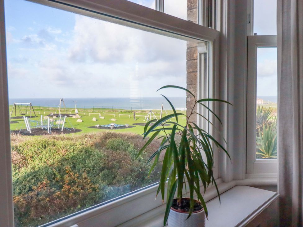 A view from a window showing a plant and playground equipment at Tradewinds in Newquay