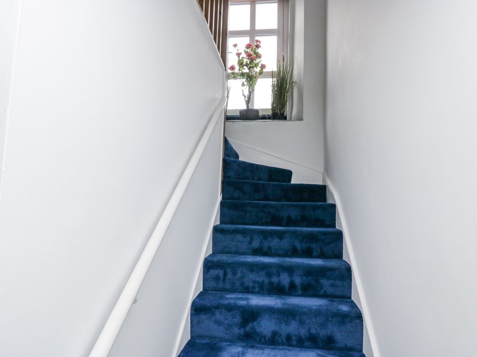 A staircase with blue carpet and a window at Aspen Boutique