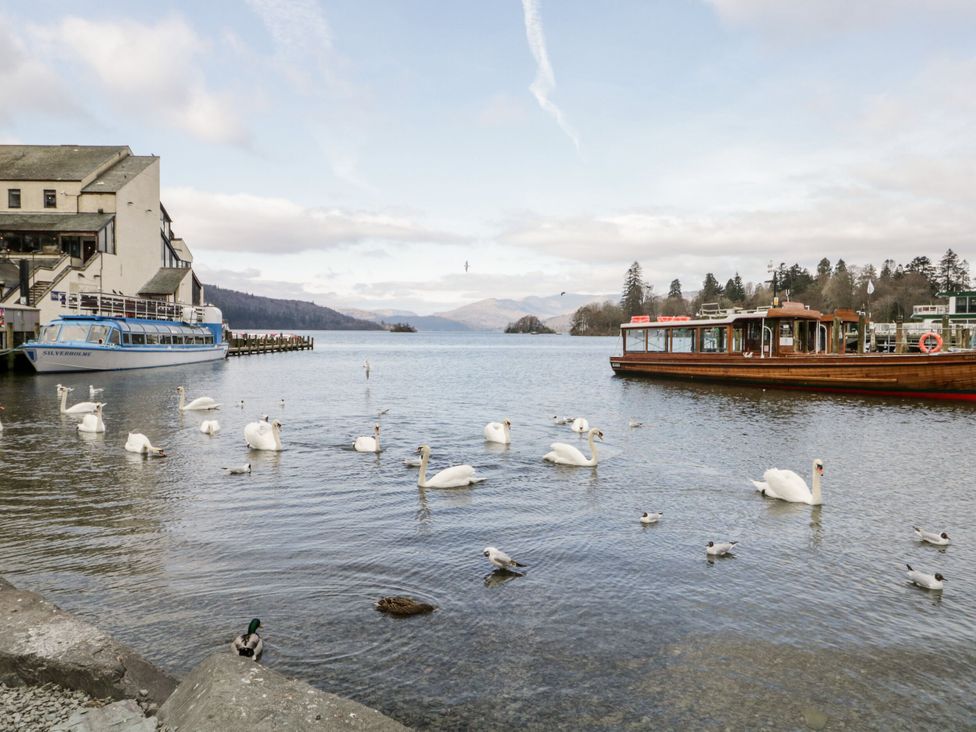 A view of swans and boats on water at Aspen Boutique in Windermere