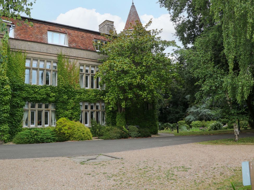 A building with greenery and pathway at Daisy Cottage in Pevensey